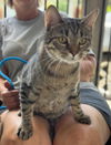 We need foster homes!
