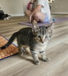 Dorothy - Photo 4