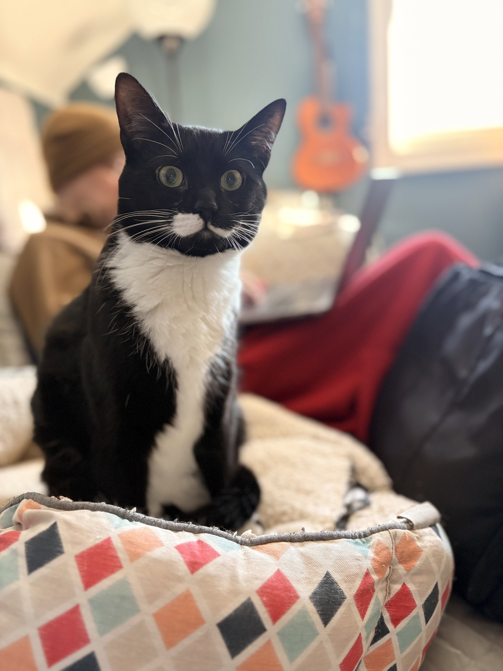 Nina Image