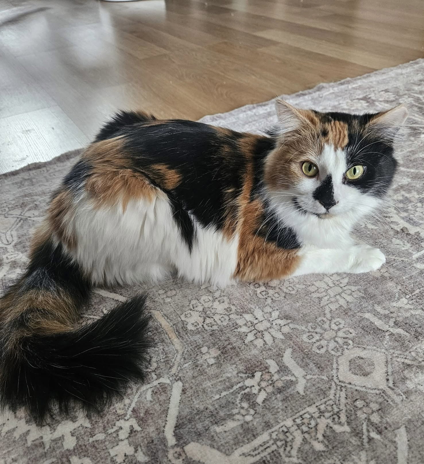 Juliette