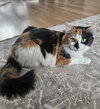 Juliette - Photo 1