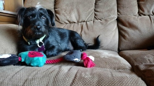Bert & Ernie photo 2