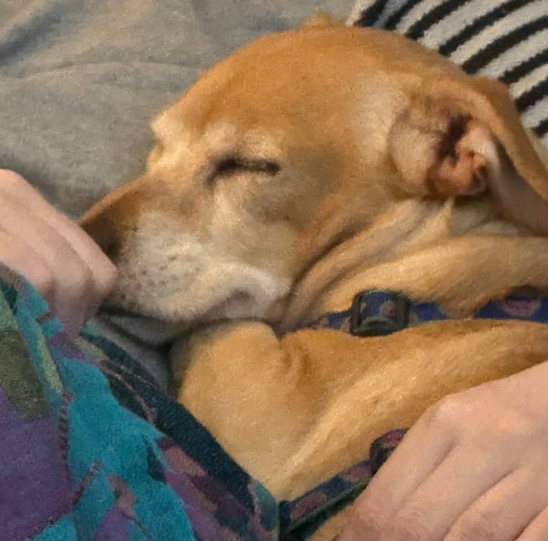 Milo