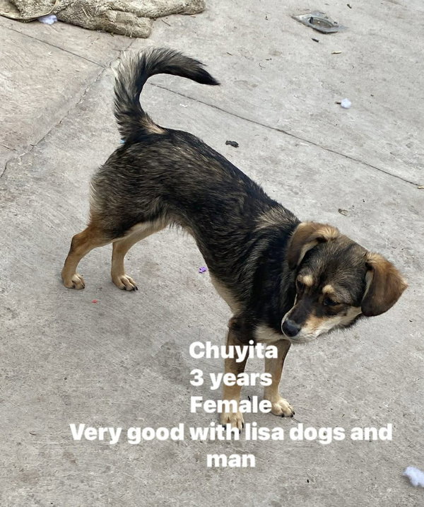 Chuyita