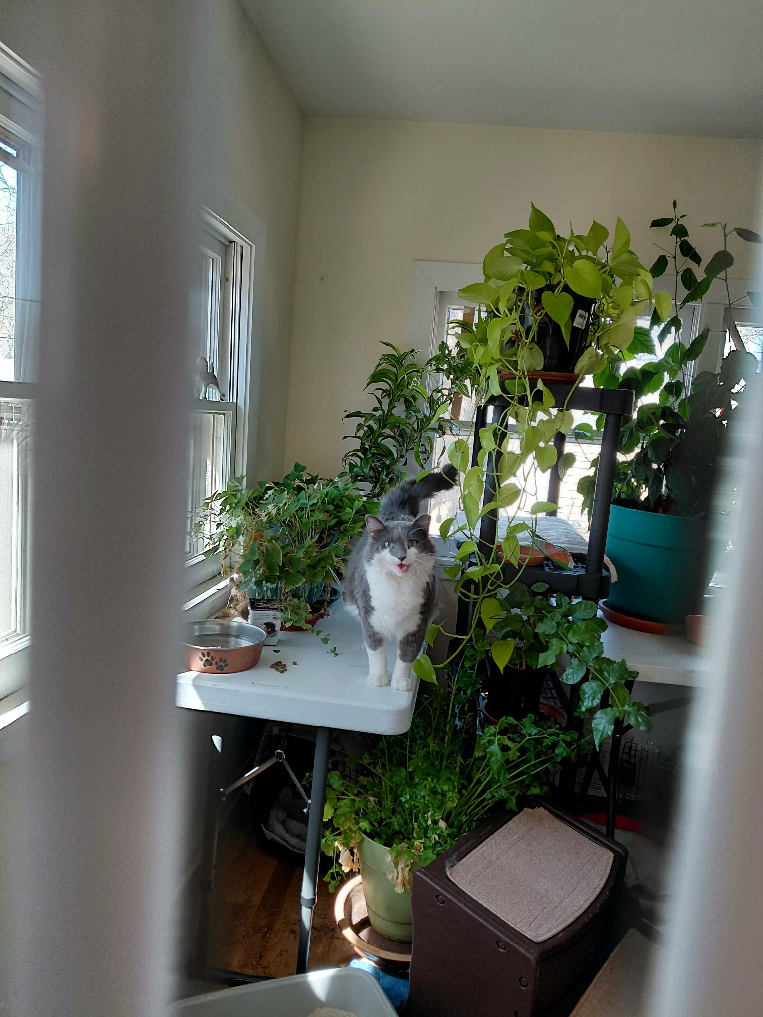 Oliver, photo 5