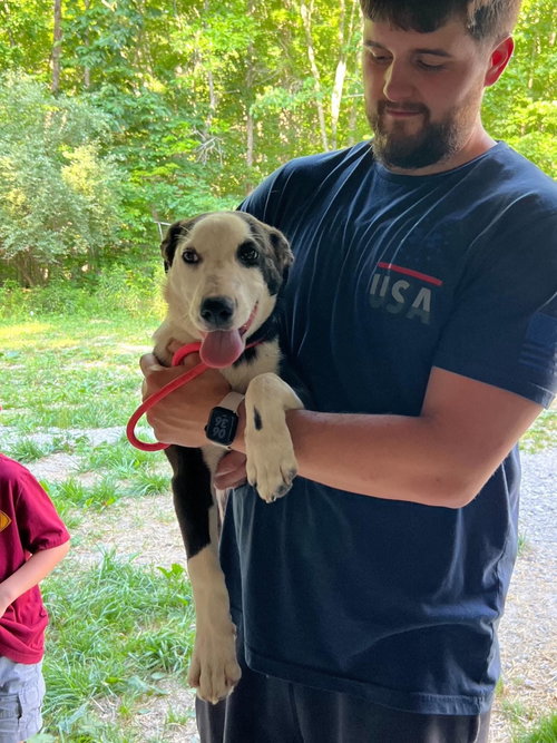 Almond *Help! I need a foster home!*