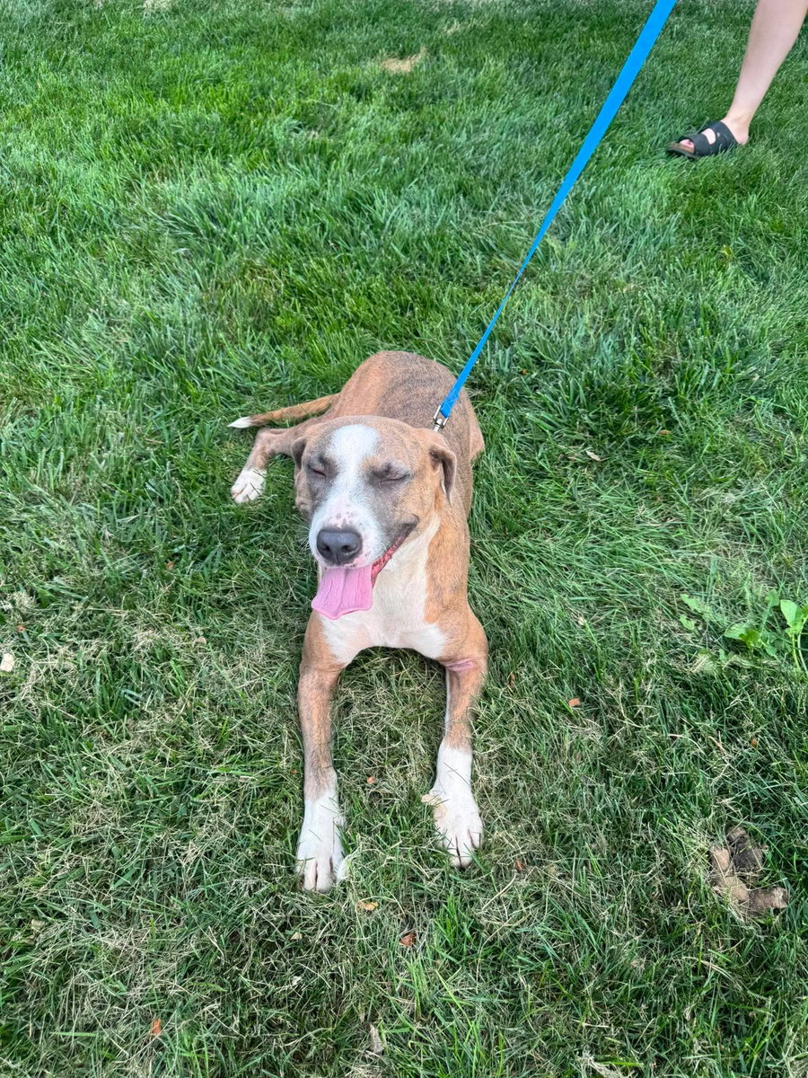 Peach *sweetest, kindest, mellow girl!*