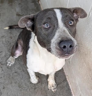 Keni Help I Need A Foster Home By Oct