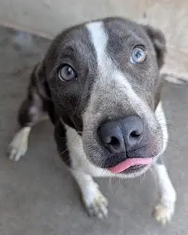 Keni Help I Need A Foster Home By Oct image 2