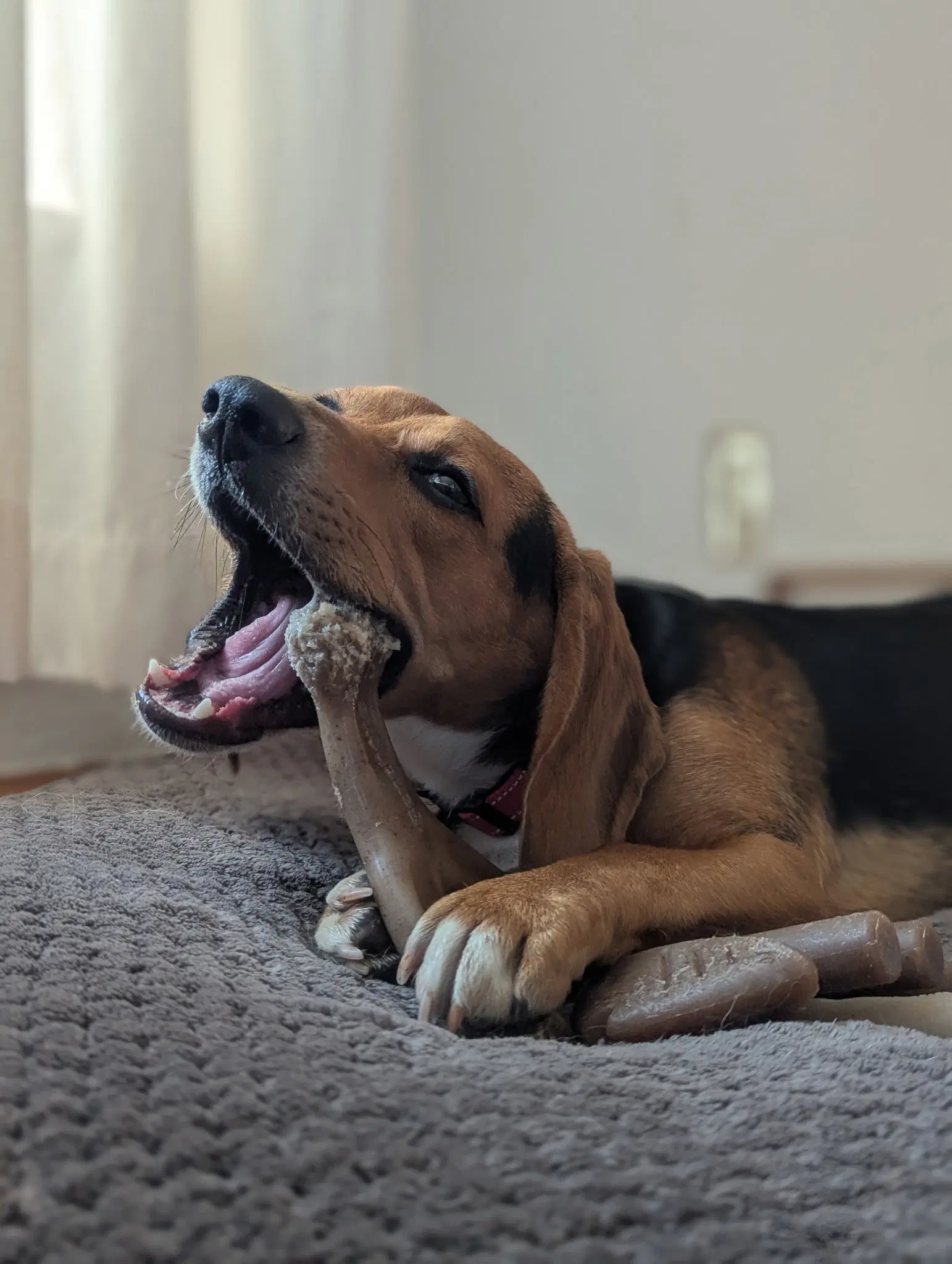 Cooper image 4