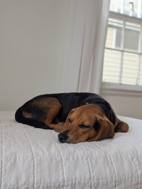 Photo 6 of Cooper