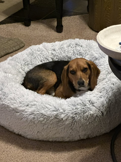 Photo 5 of Cooper