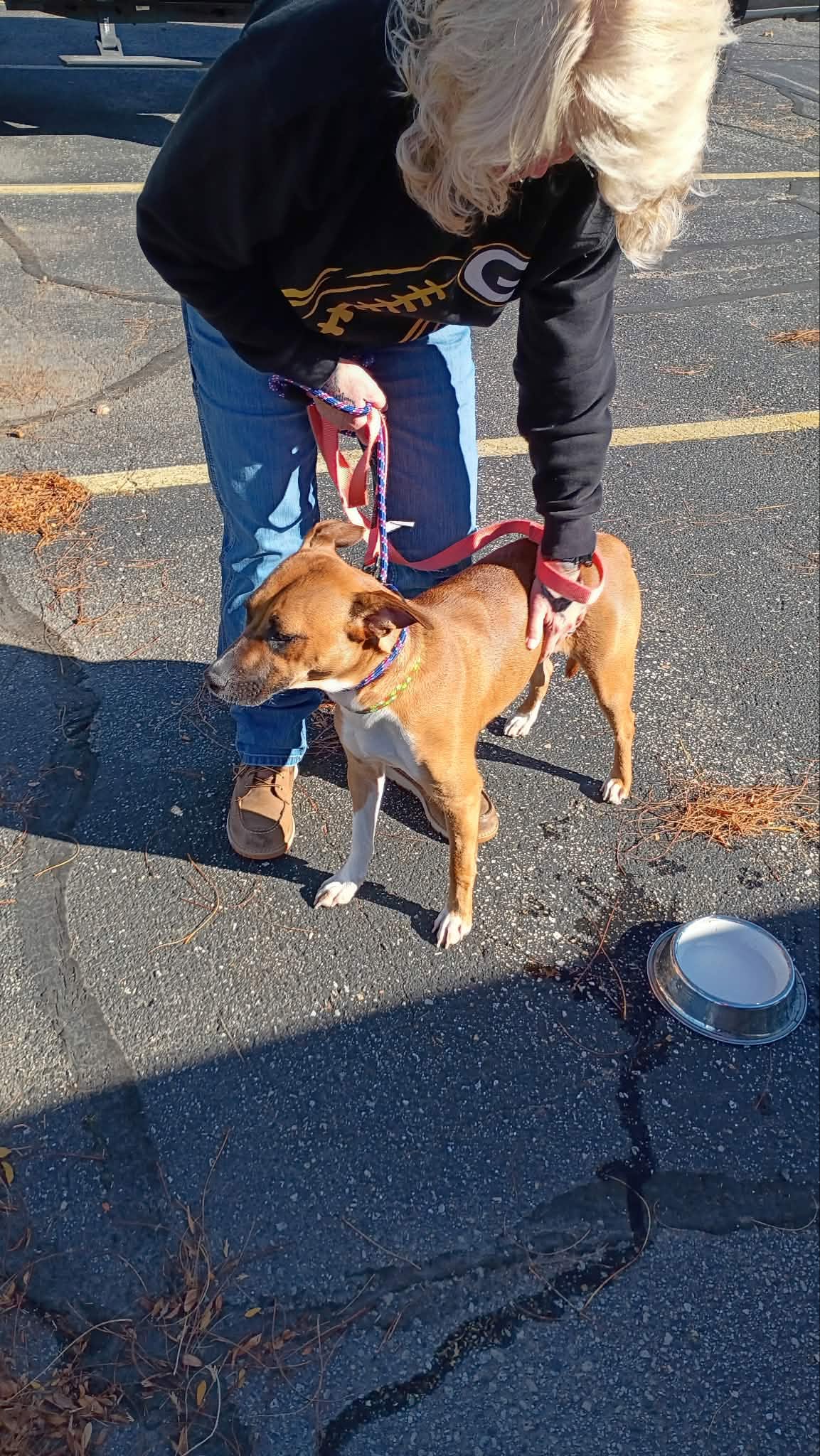 Maggie **Foster Home Needed!**, photo 3