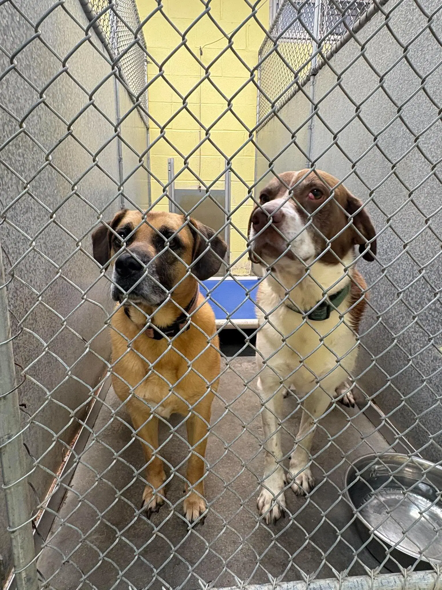 Cooper And Zeara image 2