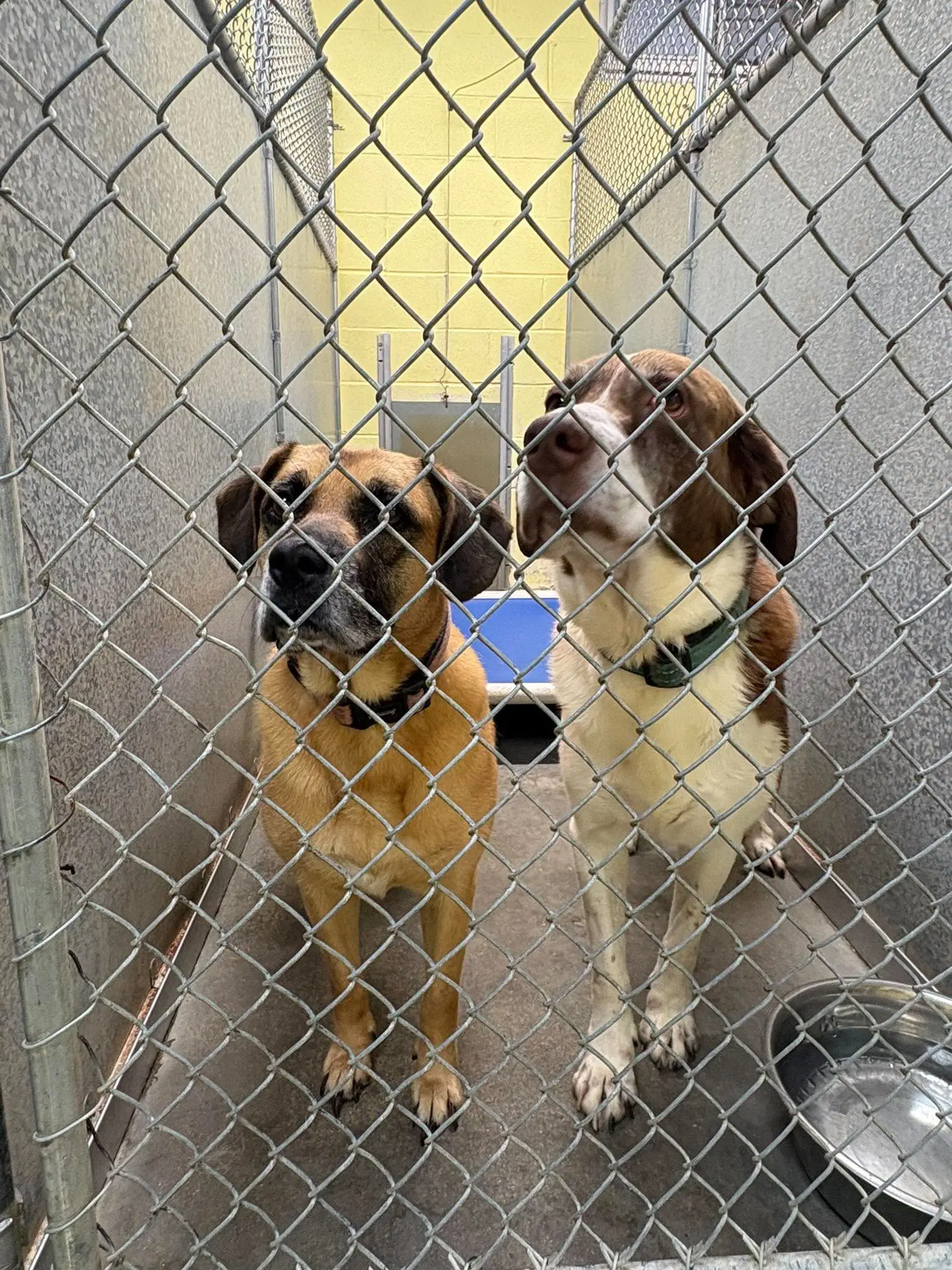 Zeara And Cooper image 3
