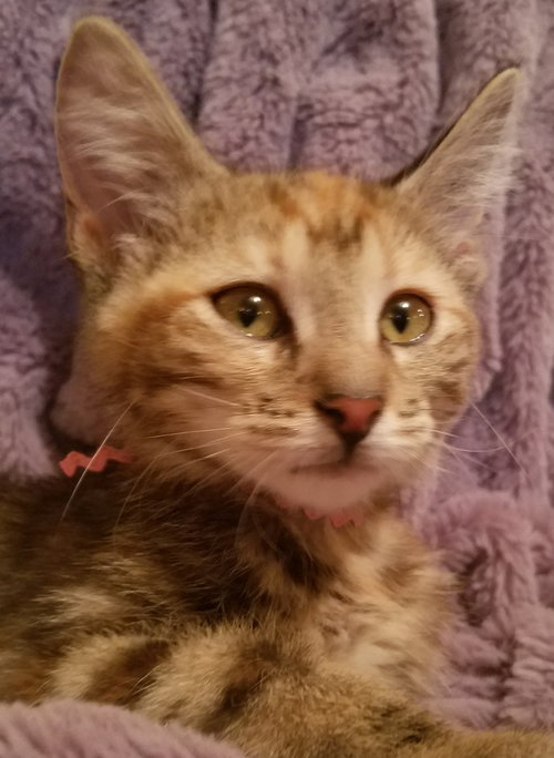 Clara