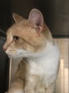 Ciara