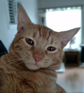 Copper