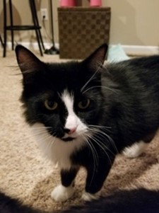 Coco
