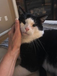 Buddy