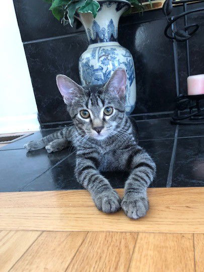 Denny