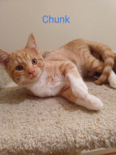 Chunk