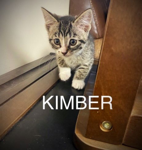 Kimber