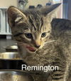 Remington