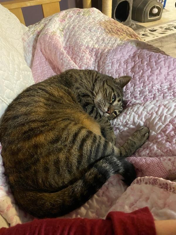 Delilah