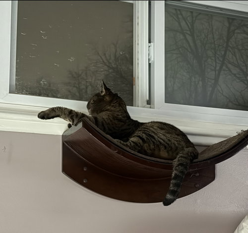 Delilah photo 7