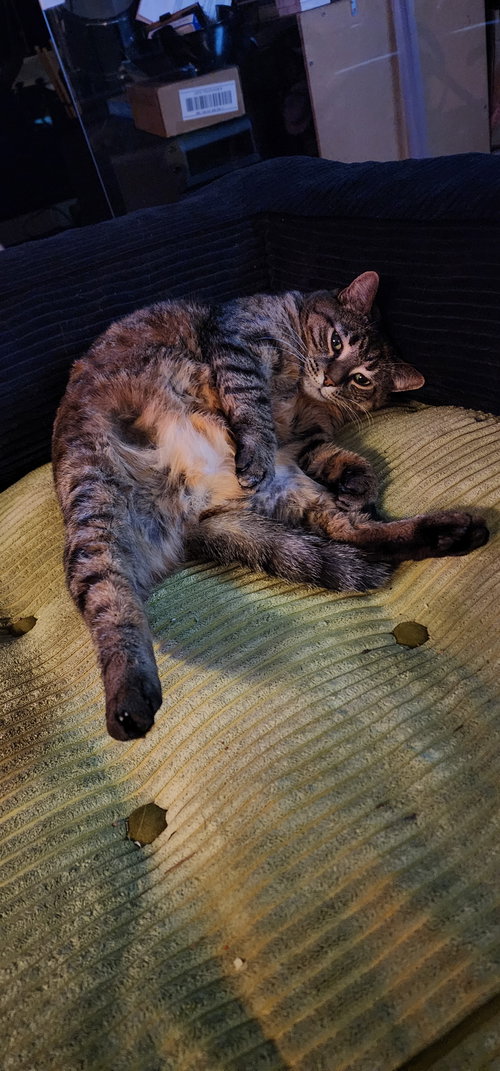 Photo 2 of Delilah