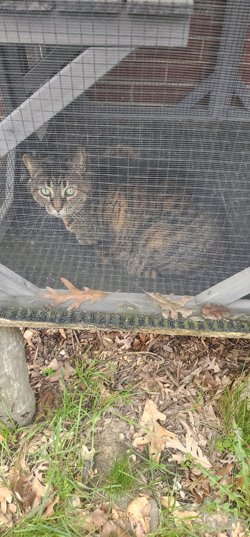 Photo 4 of Delilah