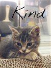 Kind- (must be adopted w/ Boo Boo)