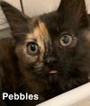 Pebbles