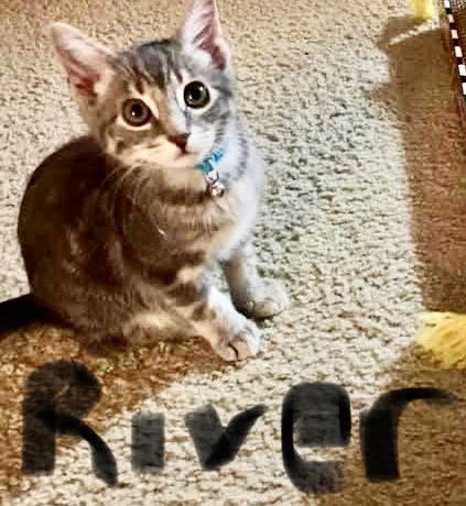 River (MUST BE ADOPTED WITH LOTTI)