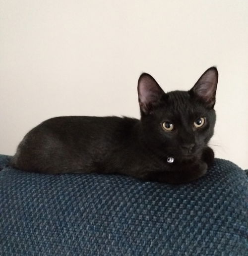Jun