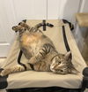 Theo - (Must be adopted w/Bree)