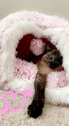 Nicolina