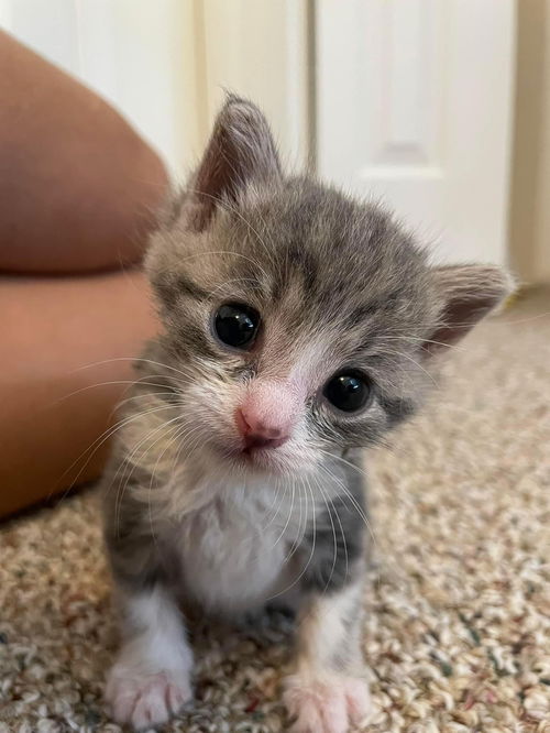 Pearl Mae