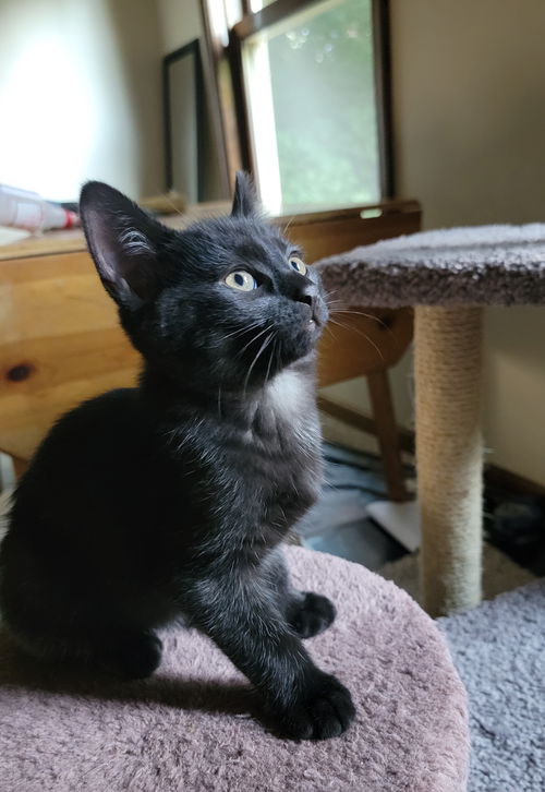 Pasco