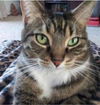 Sassy Molly