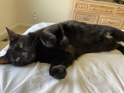 Chloe girl
