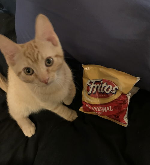 Frito