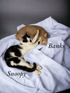 Banks