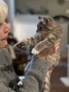 BunnyBear - (Must be adopted w/Lena Horne)