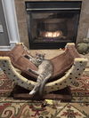 BunnyBear - (Must be adopted w/Lena Horne)