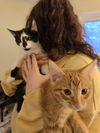 Pasha(MUST BE ADOPTED WITH PETER)