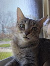 Rubie