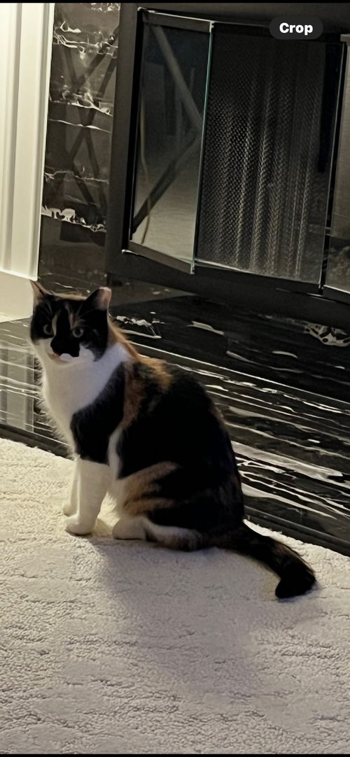 Juliette