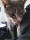 Milly